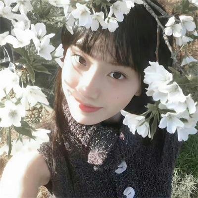 猫公主苏菲封面